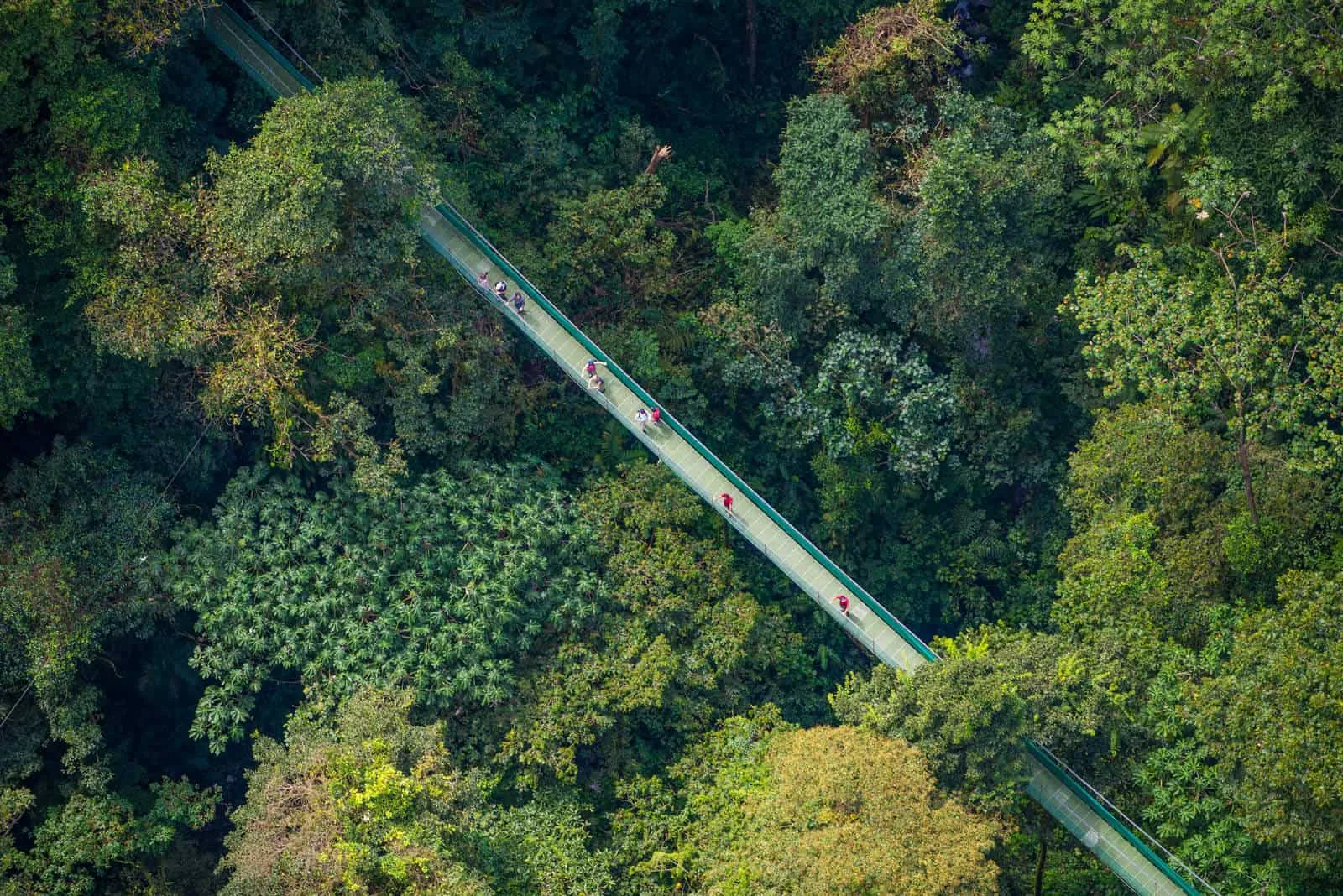 Arenal Hanging Bridges